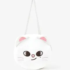 StrayKids SKZOO FACE SHOULDER BAG ジニレット - メルカリ