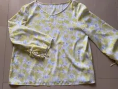 Item thumbnail for item 8a270208-6599-47c4-aaf4-a72887d28068