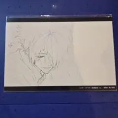 エヴァンゲリオン 渚カヲル　原画 絵コンテ　ポストカード　エヴァ　未開封