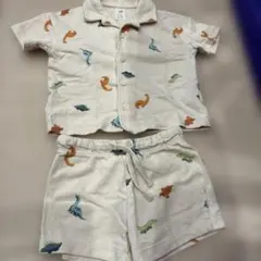 恐竜柄セットアップ