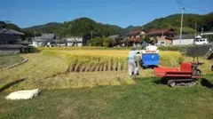 私達が生産しました！ヒノヒカリ（玄米）5kg！のサムネイル