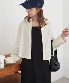 DISCOAT WEB限定 ストライプクロップドシャツ 長袖 春夏 美品