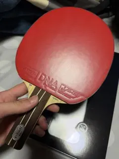 卓球 ラケット ラバー