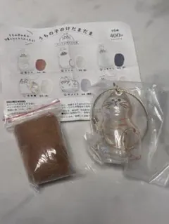 うちの子のけだまだま　茶トラ