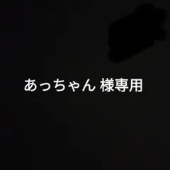 あっちゃん 様専用ページ