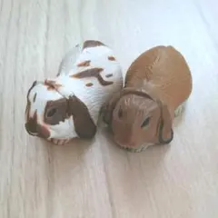 海洋堂 チョコエッグ ペット動物 第２弾 ロップイヤー 2種セット