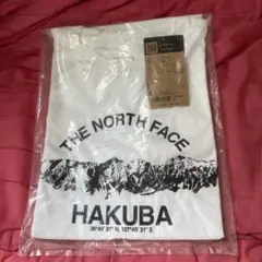 【新品】ノースフェイス　Tシャツ メンズL 白馬三山 Tee NTW32300Y