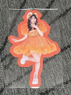 鎮西寿々歌　ラッフル