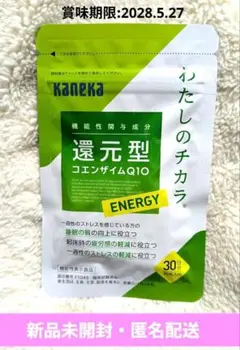 Item thumbnail for item c499bc31-7175-46fa-81ee-9f5610a040f4