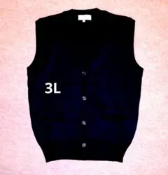 Item thumbnail for item 25c34fa9-6741-445c-9851-9803bfa5d749