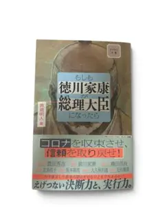 もしも徳川家康が総理大臣になったら 眞邊明人
