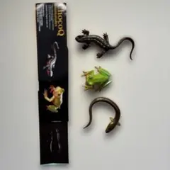 ChocoQ イモリ カエル ウナギ フィギュア3体セット ミニブック付き