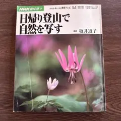 Item thumbnail for item ed3c0fb2-130d-48f4-a0e8-d42396f513d8