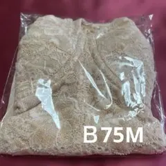 Item thumbnail for item 916fdd5b-481d-42d3-bd34-b9c4a20128bb