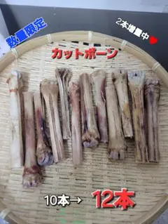 Item thumbnail for item a8c6a570-931e-4832-b4cf-a9326c023ba9