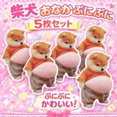 新品未開封品 柴犬　お腹　おなか　ぷにぷに シール スティッカー　5個セット