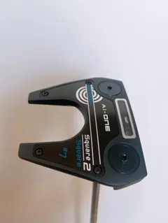 Item thumbnail for item 8face40a-c9af-42e0-bf35-e60f52a0a95a