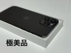 iPhone 13 Pro Max 256 GB 【極美品】 即購入OK