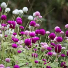 ハヤッパ様 リクエスト 6点 まとめ商品