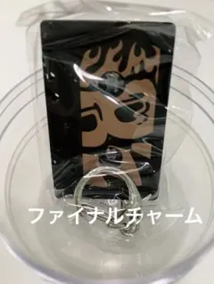 最終値下げ】B'z FYOP＋ カセットチャーム 6/14 ファイナル限定