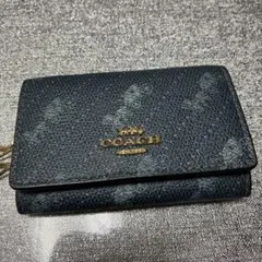 Item thumbnail for item 15fcb827-c90c-4199-96c2-798b422f6b96