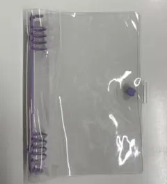 Item thumbnail for item b9b6559b-23f6-4ed5-b7c1-4be000bef79c