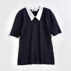 CELFORD 2025カリグラフィー刺繍衿付きニットプルオーバー ブラック　Fのサムネイル