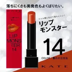 【Web限定色】 14 憧れの日光浴 リップモンスター KATE ケイト 限定色