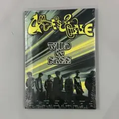 AMPERS&ONE WILD & FREE 未開封 CD Start ver.