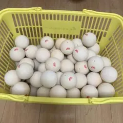 Item thumbnail for item 379ae677-cdf2-4d76-a190-8e81b5657112