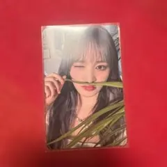 IVE トレカ 封入 ALIVE リズ