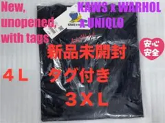 3XL☆新品☆UNIQLO×KAWS＋WARHOL カウズ+ウォーホル UT⑩