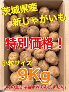 ❣️特別価格❣️茨城県産　新じゃがいも　9Kg　小粒サイズのサムネイル
