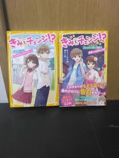 Item thumbnail for item 608e78f0-494e-49a5-8c05-bacdd8605128