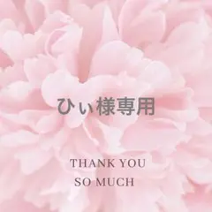 ひぃ様専用
