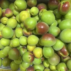 ピロさん専用【福井県産】加工用 梅(紅映) 3kg 傷あり 梅酒・梅シロップにのサムネイル
