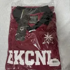 新品未使用backchannel GAME L/S SHIRT XL