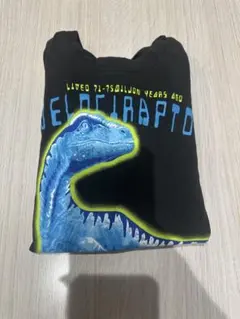 H&M ヴェロキラプトル 長袖カットソー US 6X/7Y