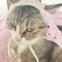 ネコーシュカ☆ 猫 犬 ペット用 猫用バブーシュカ ハンドメイド かぎ針編み