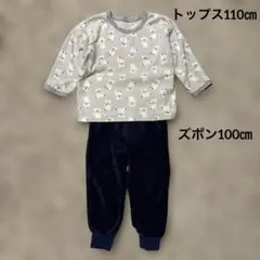 Item thumbnail for item 699ebab4-c362-4056-bb71-62462d5ffc9f