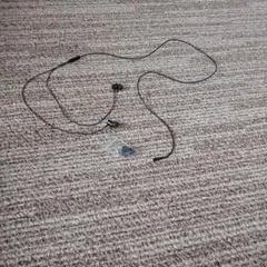 有線イヤホン 交換用イヤーピース付き