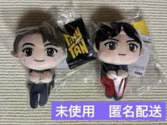 ぬいぐるみ　BTS JIN 2体セット