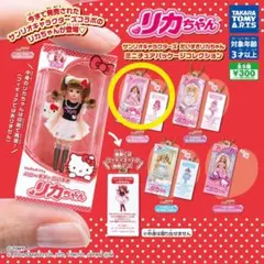 リカちゃん サンリオ ミニチュアパッケージコレクション
