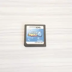 伝説のスタフィー4 ds カセット　ソフト