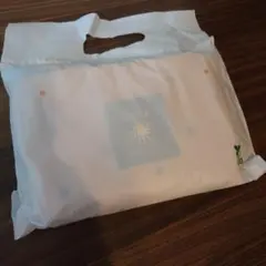 Item thumbnail for item 6a67193b-6591-4078-ac31-659e24d38cb8