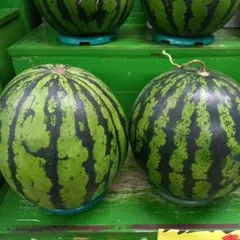 産地直送 熊本植木町スイカ【1玉入り】7kgと8kg - メルカリ