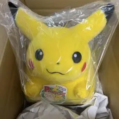 ポケットモンスター ポケモン30周年記念 おかえり！ピカチュウ1/1