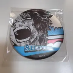 僕のヒーローアカデミア ヒロアカ デコレクション缶バッジ 轟焦凍