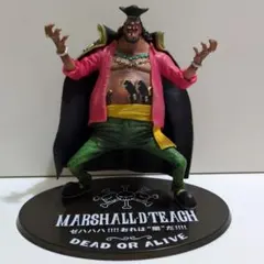 フィギュアーツゼロ マーシャル・D・ティーチ フィギュア