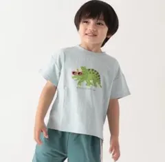 プティマイン　男の子　　100のサムネイル